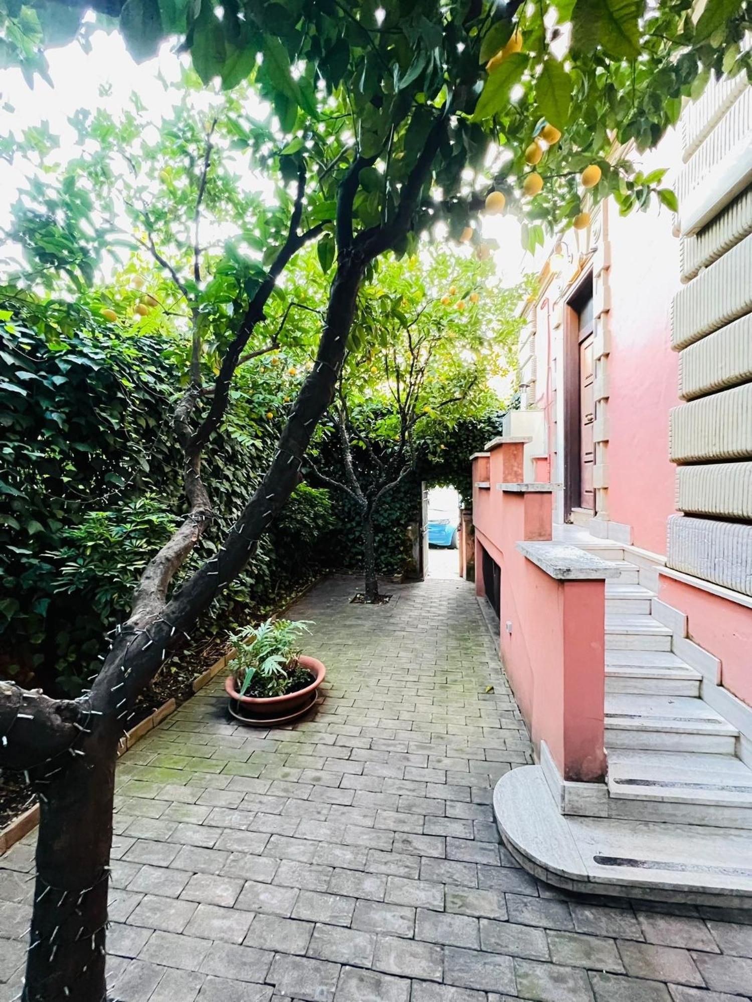 Orange Garden Guest House โรม ภายนอก รูปภาพ
